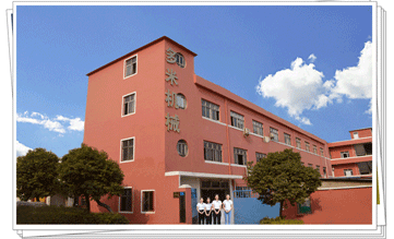 多米機(jī)械:改變世界新動(dòng)力，革新行業(yè)新格局